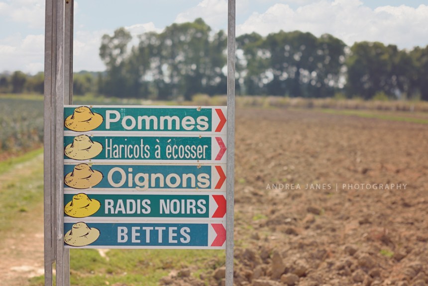 La-Ferme-de-Viltain_01-web