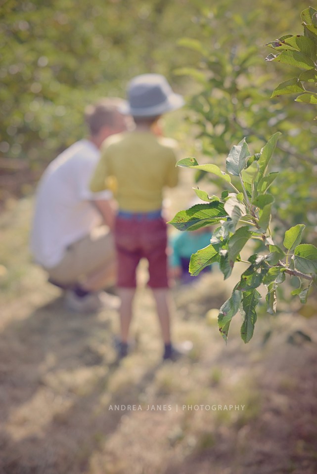 La-Ferme-de-Viltain_06-web