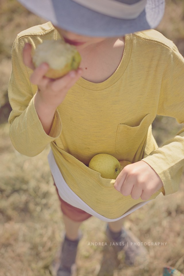 La-Ferme-de-Viltain_07-web