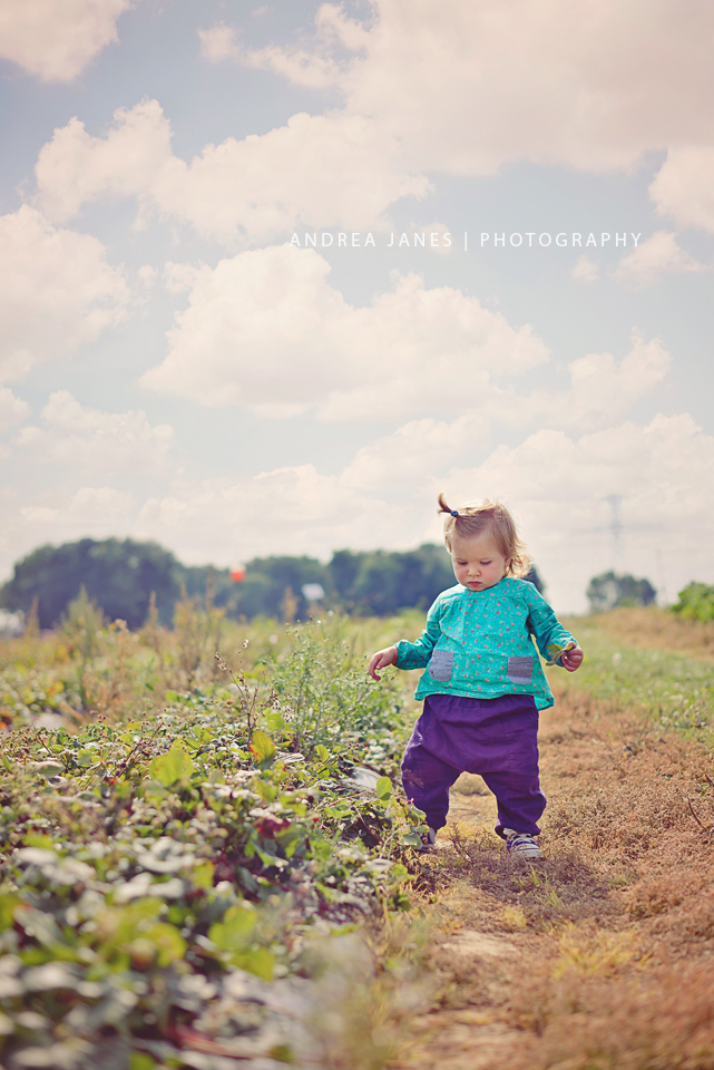 La-Ferme-de-Viltain_08-web