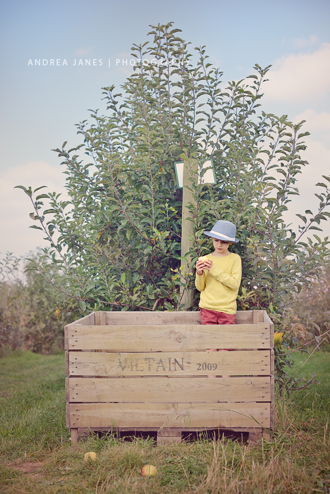 La-Ferme-de-Viltain_16-web