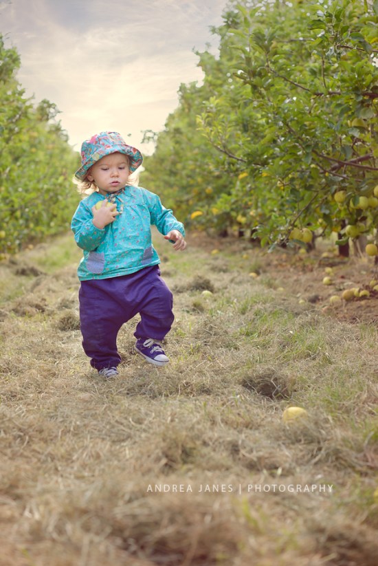 La-Ferme-de-Viltain_17-web