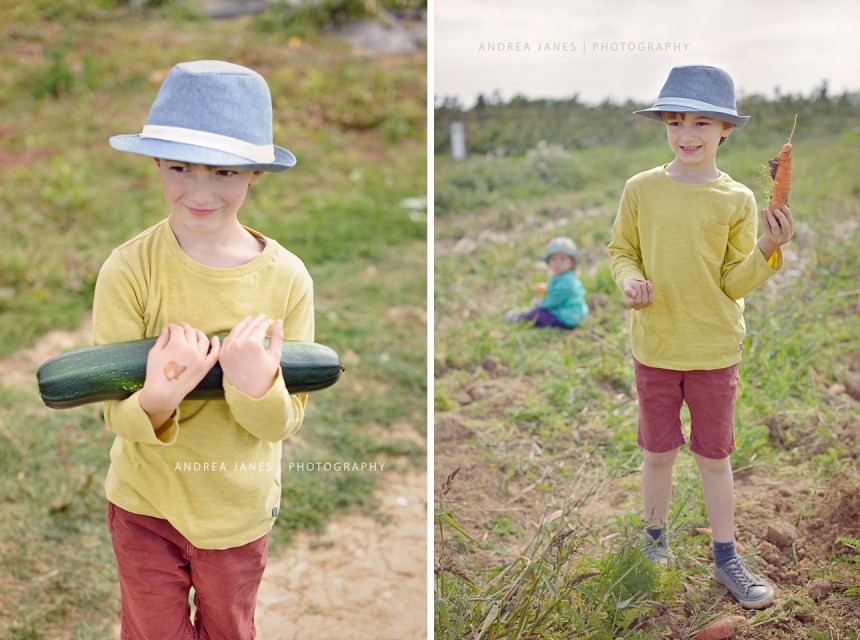 La-Ferme-de-Viltain_Montage-2