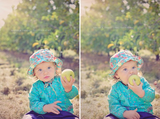 La-Ferme-de-Viltain_Montage-3