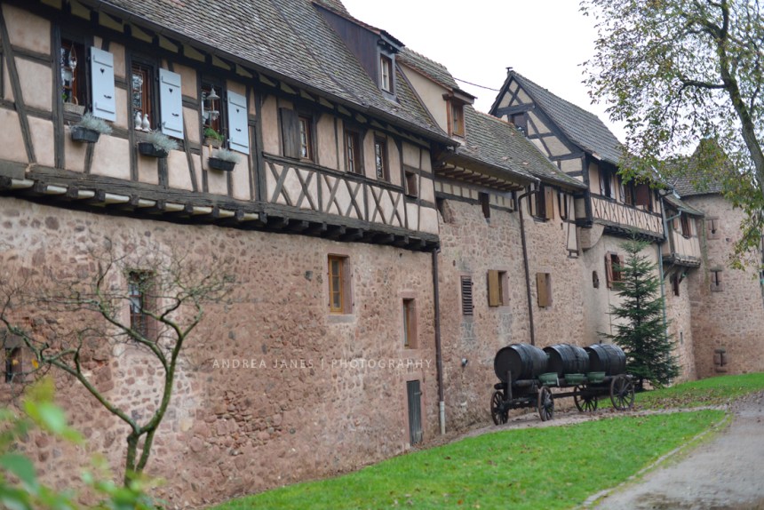 Alsace_49_web