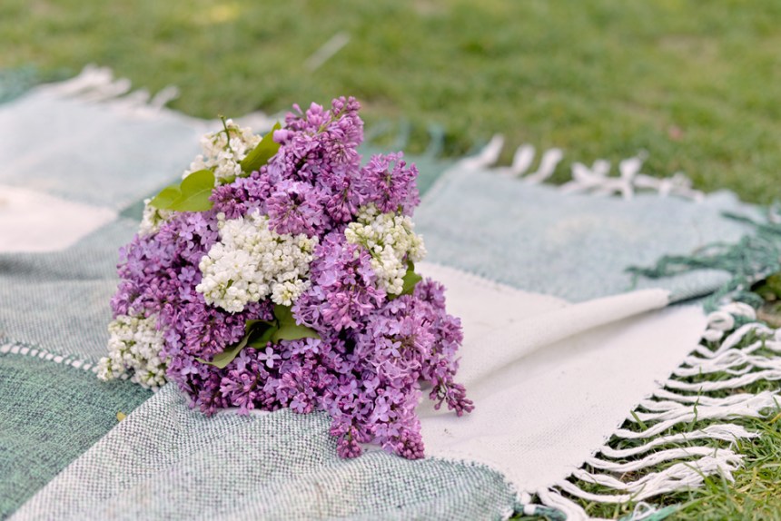 2015-04-Champs-de-Mars_06-copy