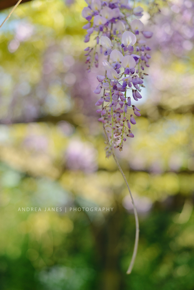 2015-04-Parquinho-no-Bois_02-copy