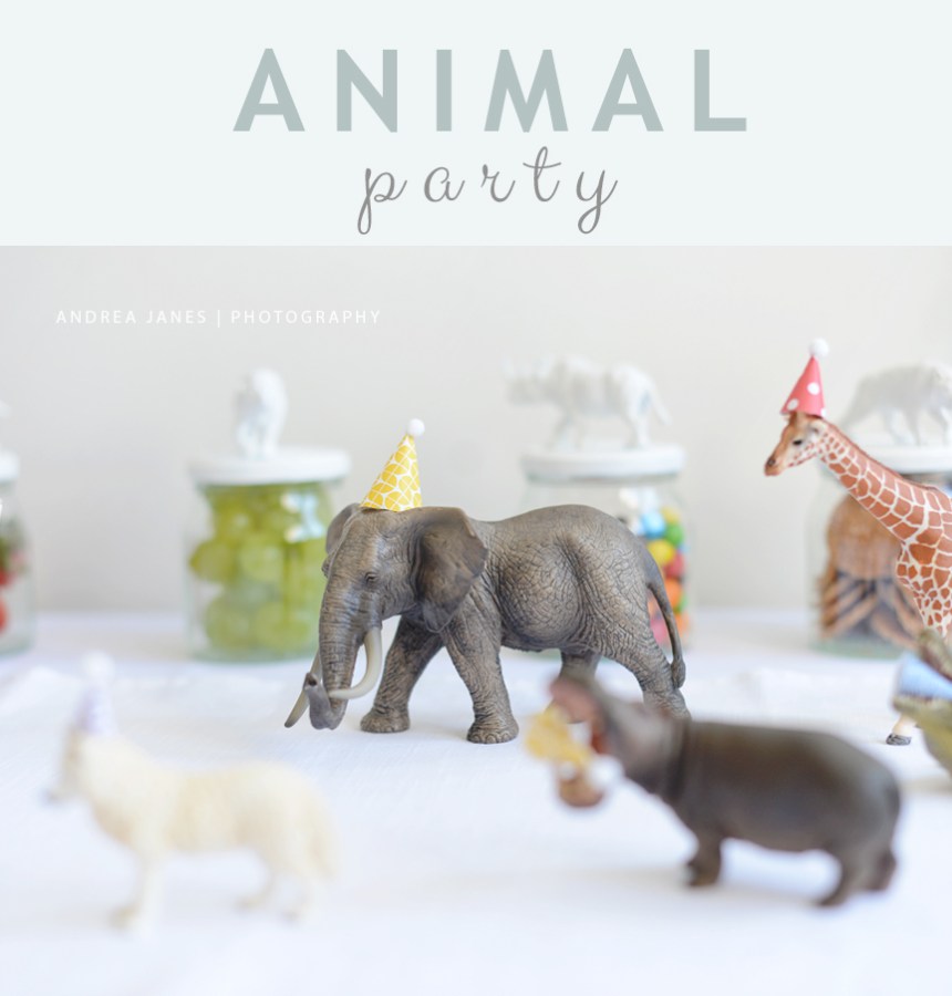 animal_party_AndreaJanes_01