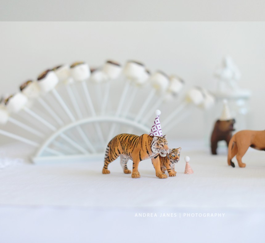 animal_party_AndreaJanes_02