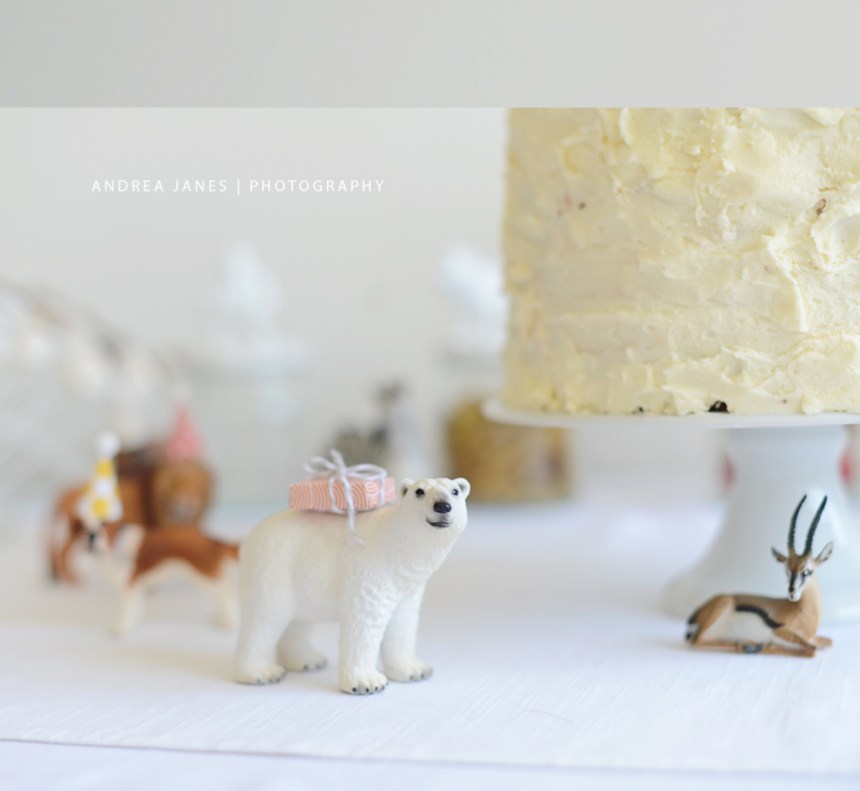 animal_party_AndreaJanes_03