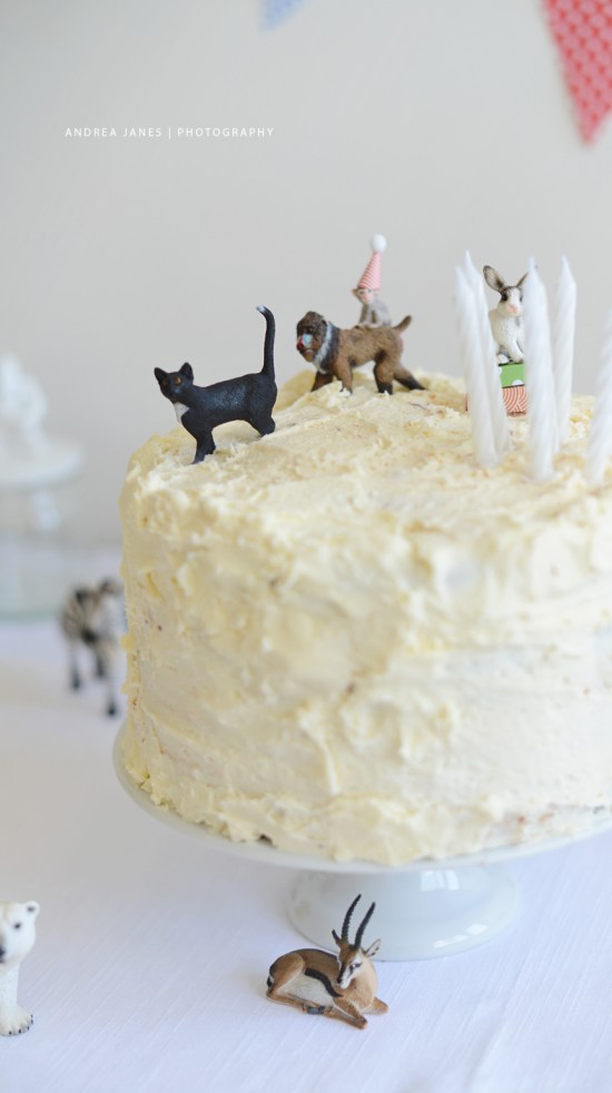 animal_party_AndreaJanes_04