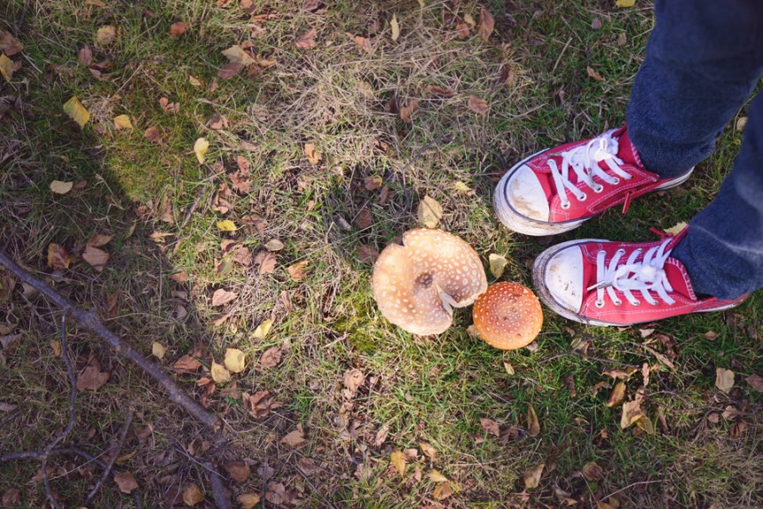 the-lodge-rspb_06-copy