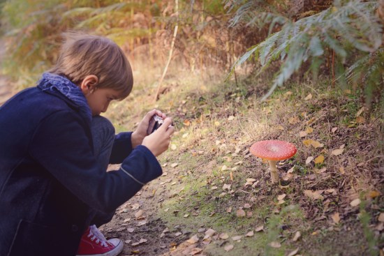 the-lodge-rspb_07-copy