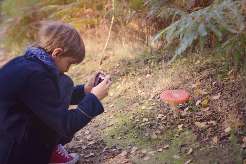 the-lodge-rspb_07-copy