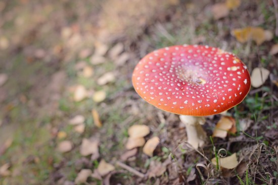 the-lodge-rspb_08-copy