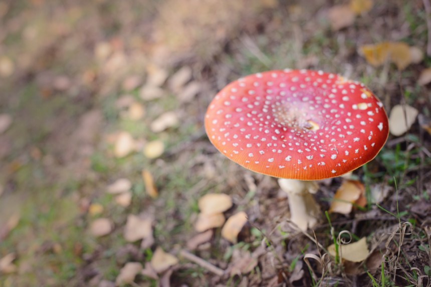 the-lodge-rspb_08-copy