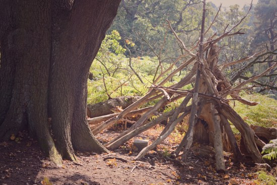 the-lodge-rspb_10-copy