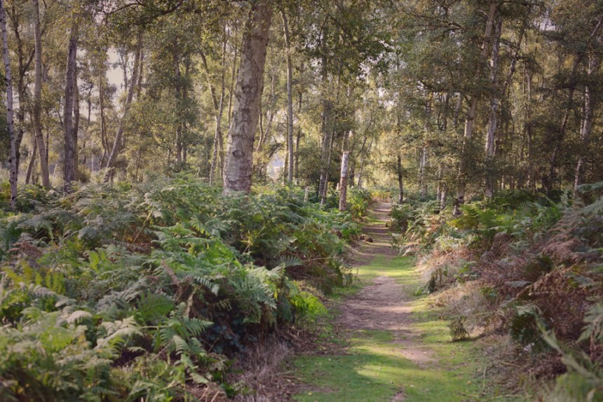 the-lodge-rspb_11-copy