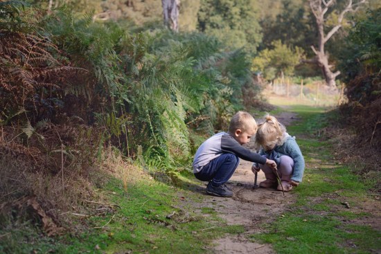 the-lodge-rspb_13-copy