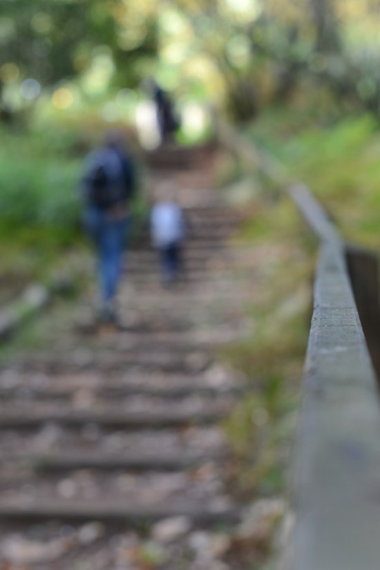 the-lodge-rspb_18-copy