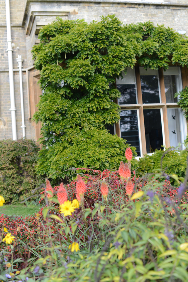 the-lodge-rspb_21-copy