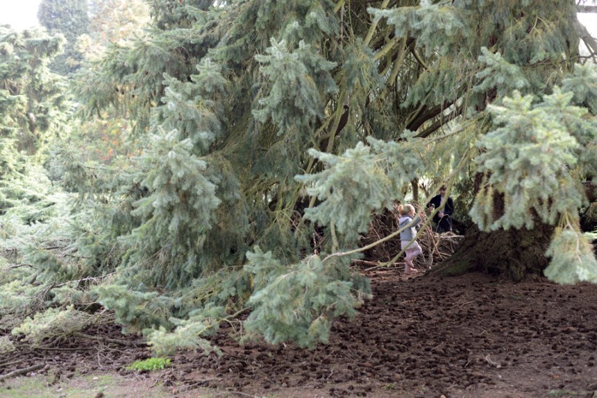 the-lodge-rspb_25-copy