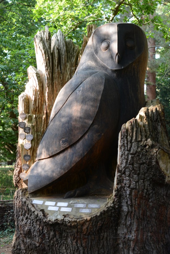 the-lodge-rspb_30-copy