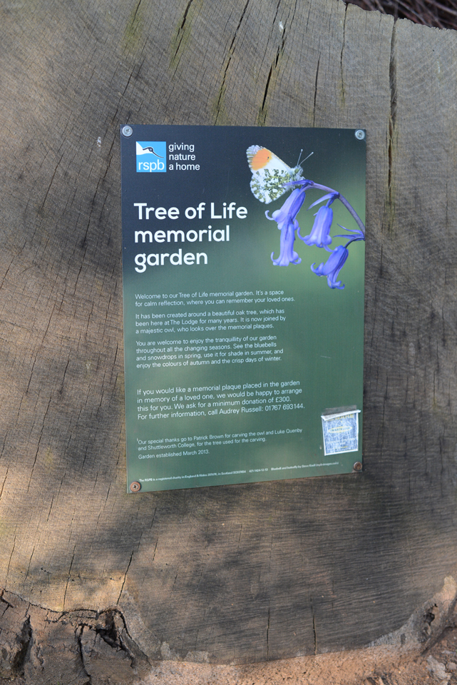 the-lodge-rspb_31-copy