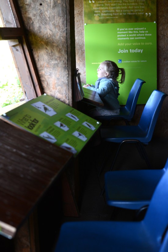 the-lodge-rspb_33-copy