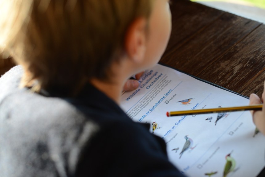 the-lodge-rspb_35-copy