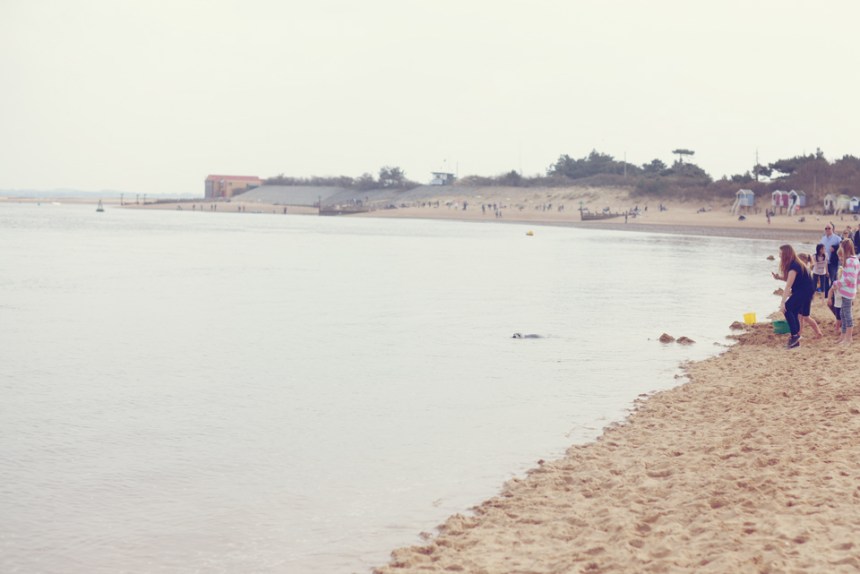 Next_the_See_08-copy