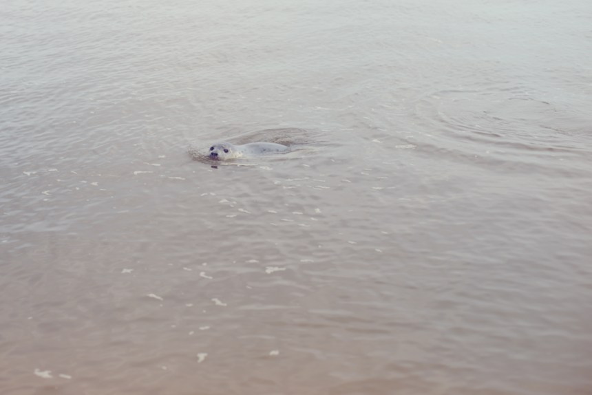 Next_the_See_09-copy