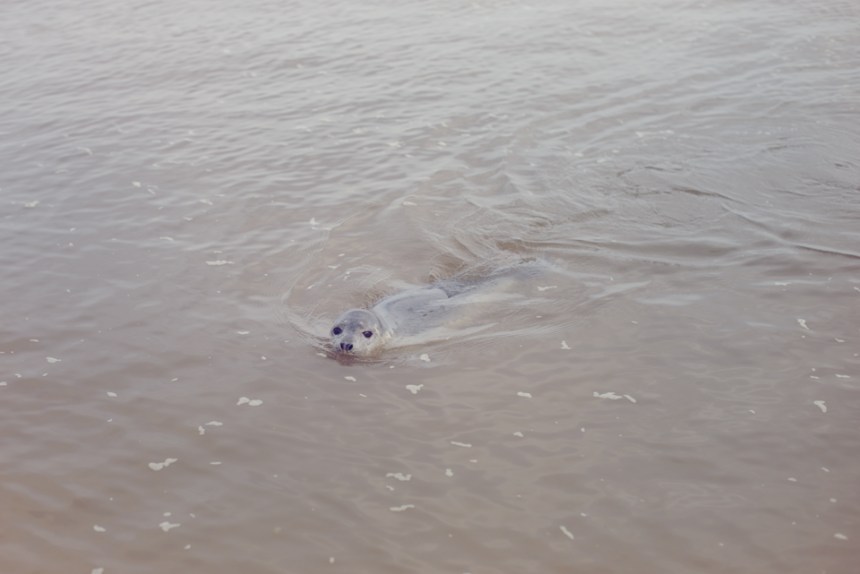 Next_the_See_10-copy