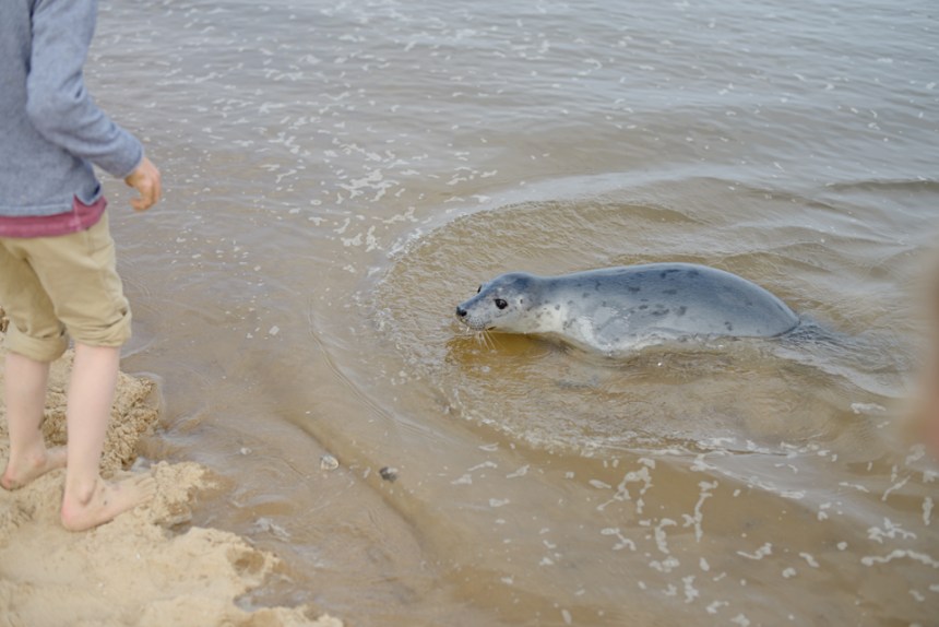 Next_the_See_11-copy