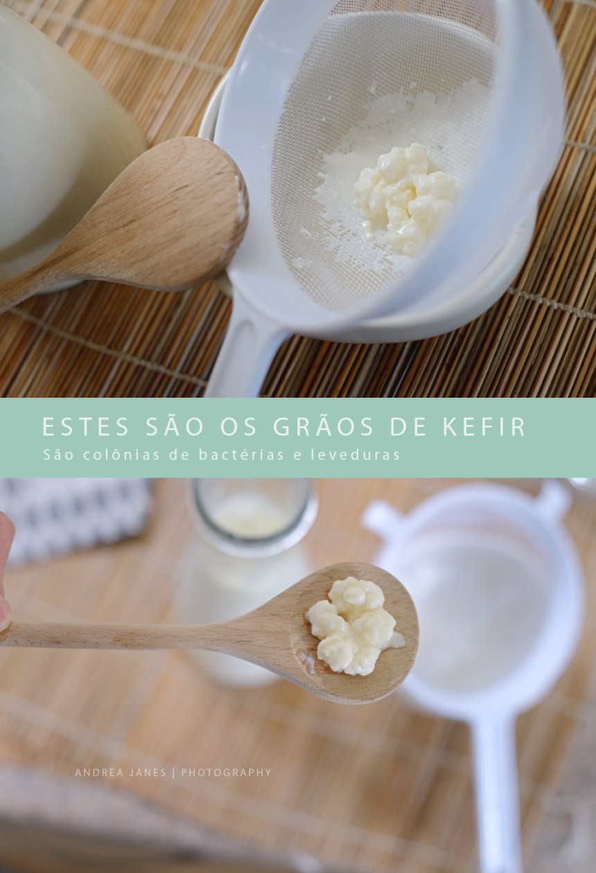 Kefir-MONTAGEM-1