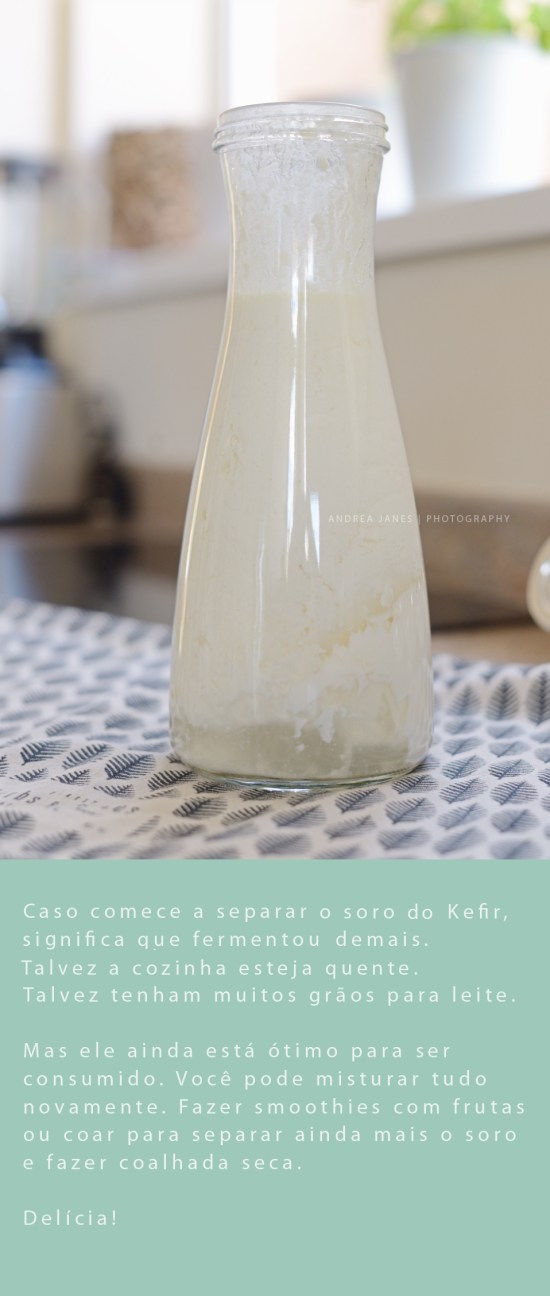 Kefir-MONTAGEM-5