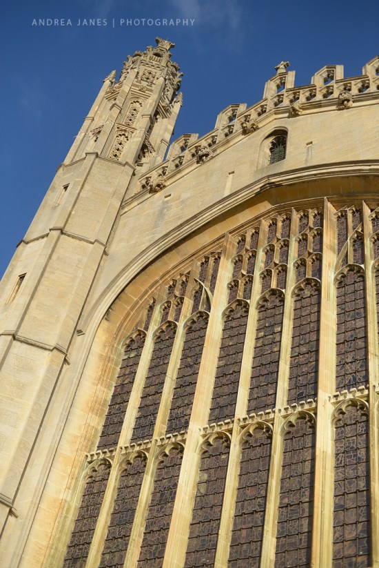 fitzwilliam-museum_13-copy