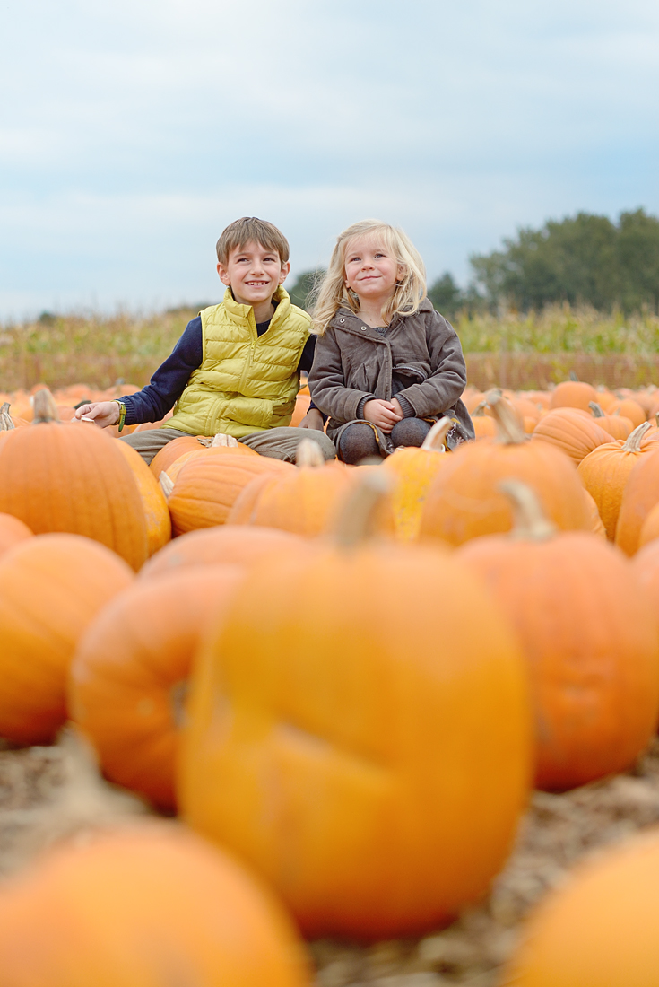 pumpkin-patch_01-copy