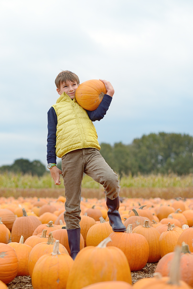 pumpkin-patch_03-copy