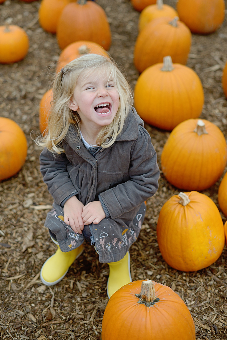 pumpkin-patch_04-copy