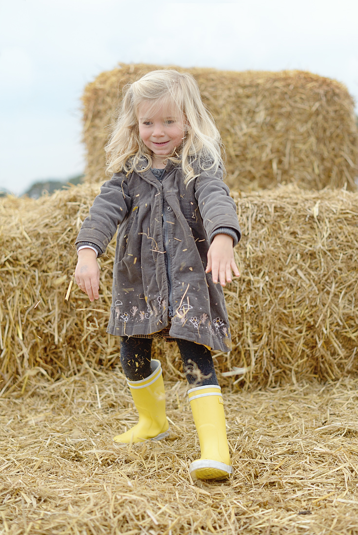 pumpkin-patch_07-copy