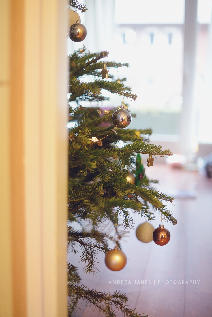 new-year-2017_03-copy