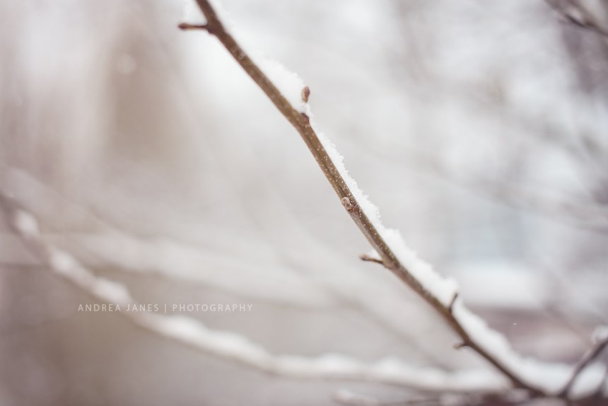 criancas-na-neve_11-copy