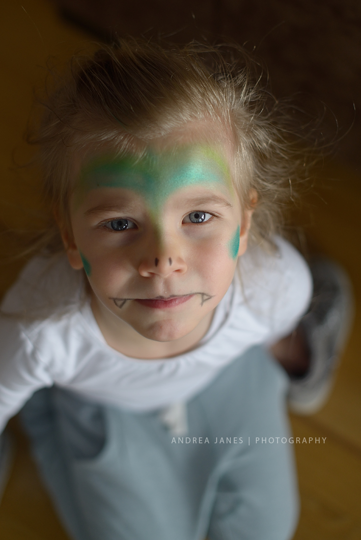 carnaval_maastricht_02-copy