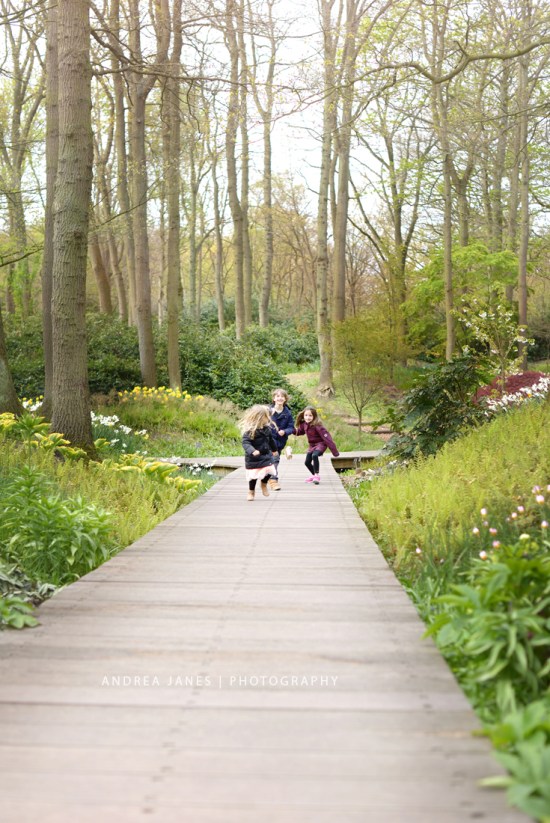 Keukenhof_06-copy