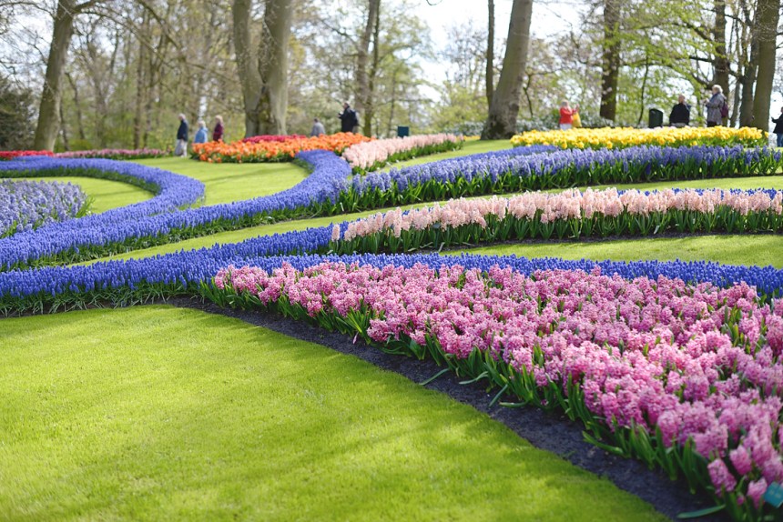 Keukenhof_18-copy