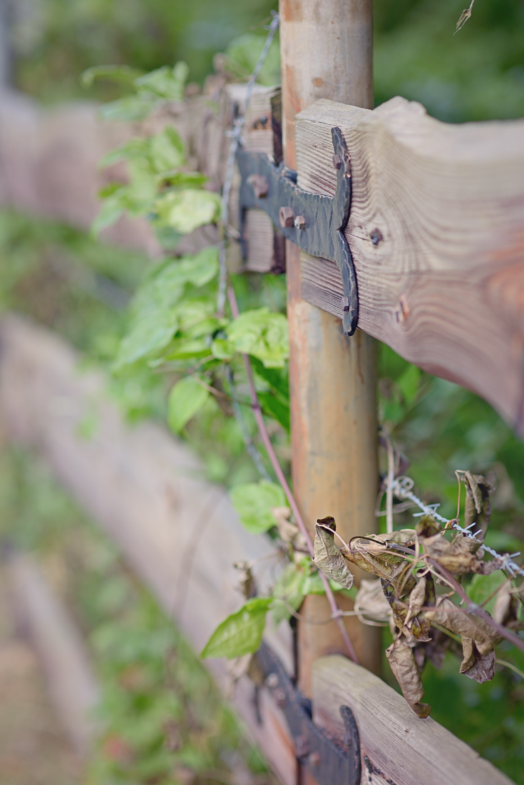 Hochwald_fence_02-copy