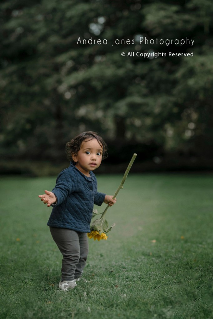 Wilhelminapark Family Photos Netherlands