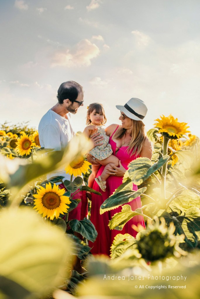 Sunflower field Photo Session Utrecht