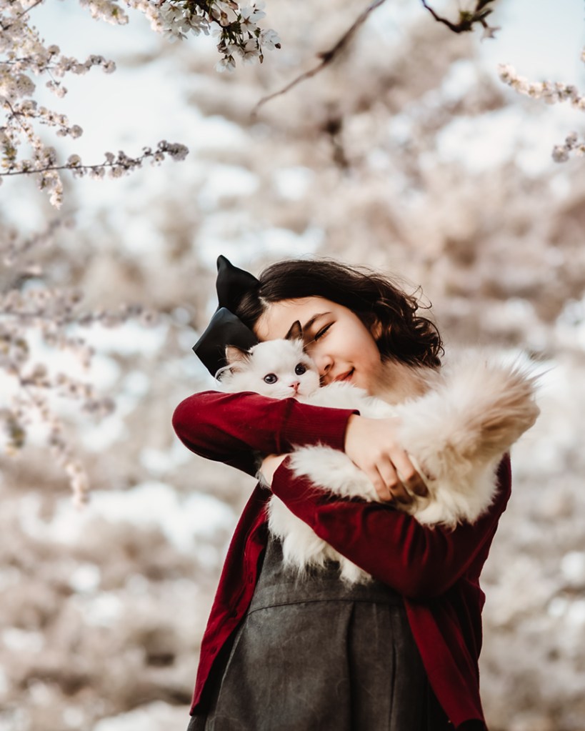 Blossom Trees Nederland